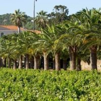 Partner Luxury Hotel & Restaurant with Spa Experiences photo